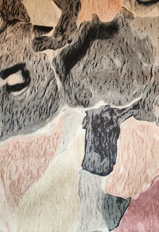 Diana&Co színes, oversize téli sál – puha, meleg, divatos - Image 3